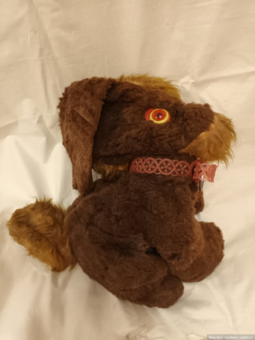 Пёсик до реставрации