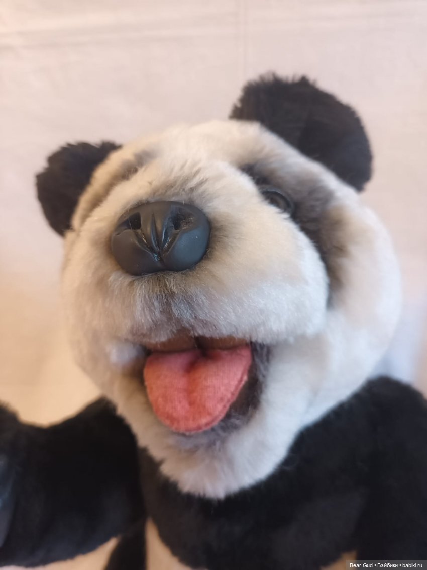 Папанденыш