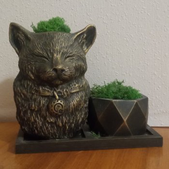 Моя кошачья коллекция