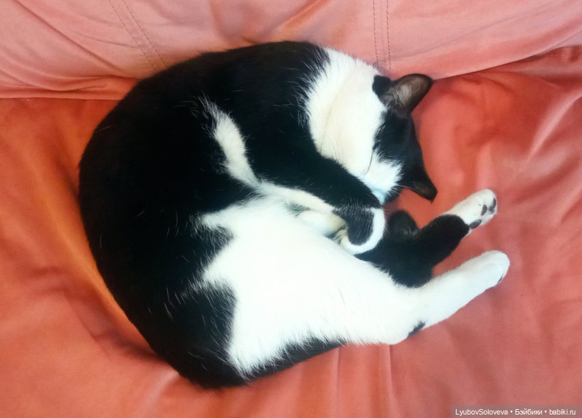 Мечты сбываются весной — Игрушки СССР и советского детства: резиновые