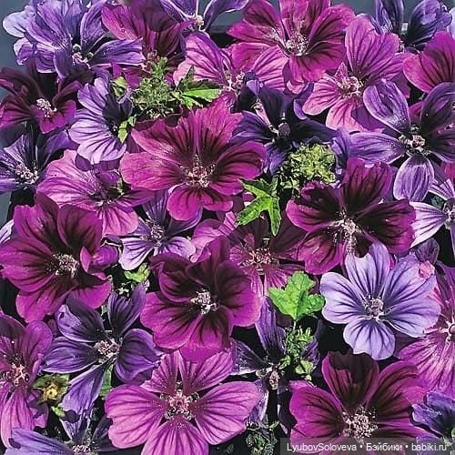 Волшебная Мальвина — Советские винтажные куклы (СССР): Ленигрушка (фото 4)