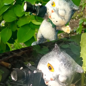 А давайте я вас щëлкну?