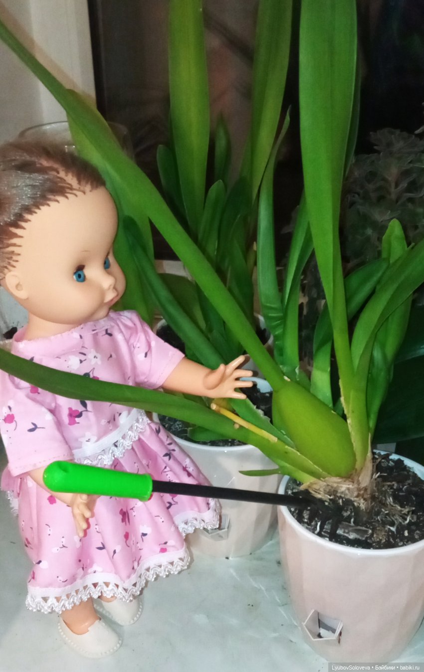 Немного солнечной Италии — Зарубежные винтажные куклы (Европа (фото 4)