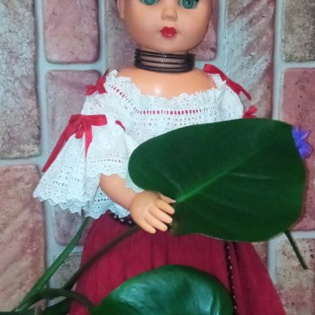 Сеньорита Веро'ника