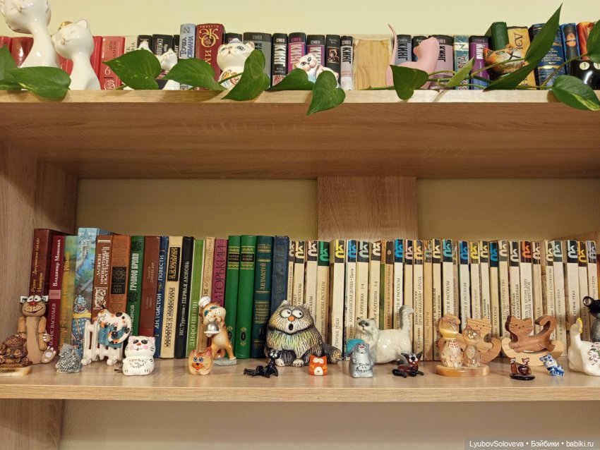 Переехали... Устали, но настроение боевое (фото 2)