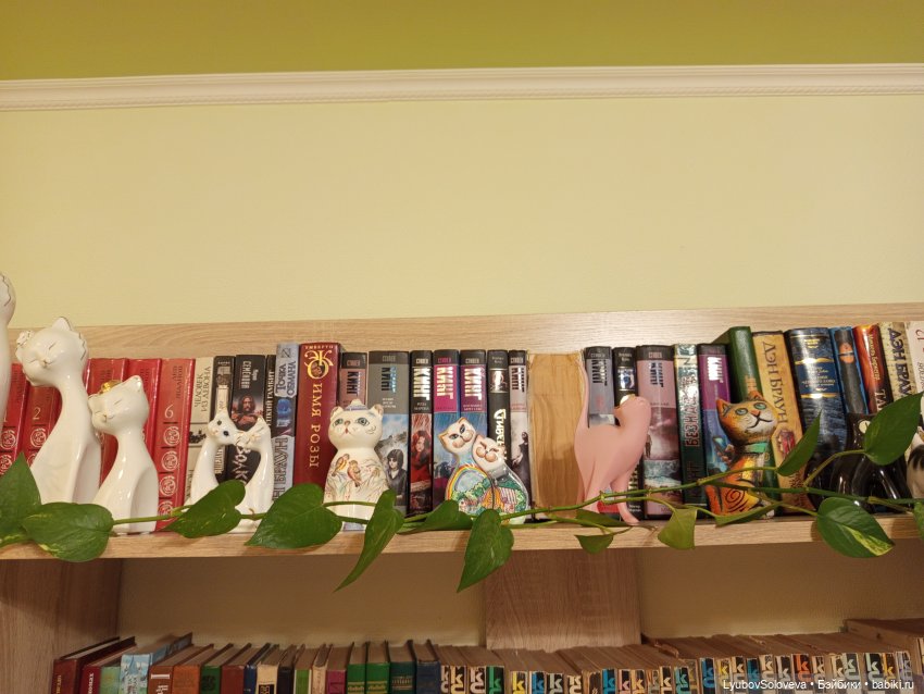 Переехали... Устали, но настроение боевое (фото 3)