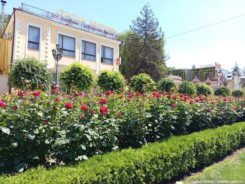 Барыня, барыня! Сударыня-барыня (фото 3)