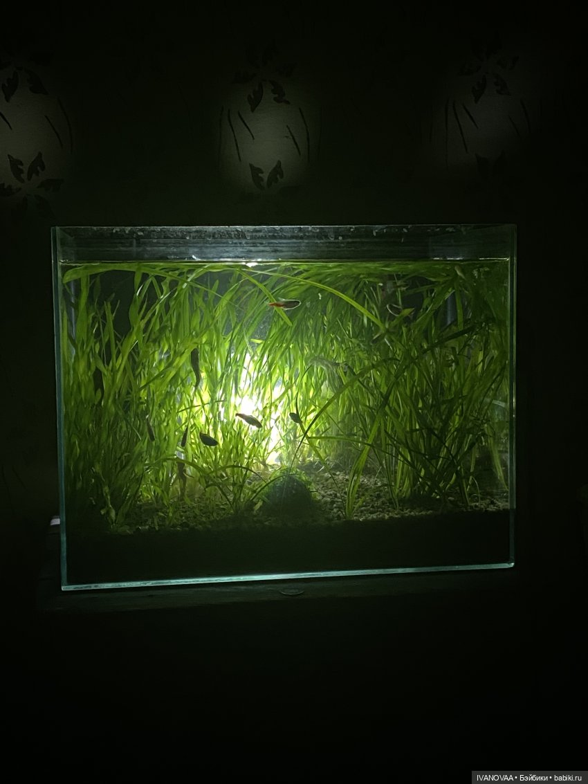 Создание шарнирной куклы. День 44. День лени. Учусь писать портрет. Рисую на планшете (фото 4)