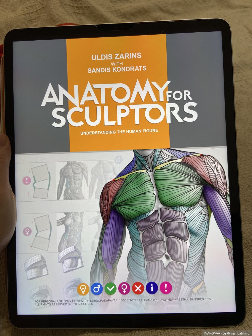 Создание шарнирной куклы. День 49 - 57. Год наконец-то заканчивается. Итоги и планы. Вопросы к читателям | Бэйбики Создание шарнирной куклы. День 49 - 57. Год наконец-то заканчивается. Итоги и планы. Вопросы к читателям (фото 2)