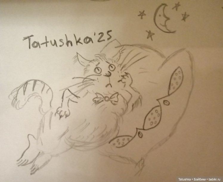 Из жизни кота😼🙀😸 — Рисование и арт: скетчи (фото 2)