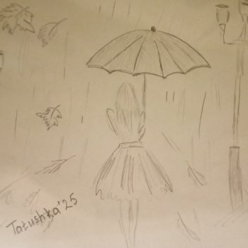 Осенняя зарисовка🍂🍁🍂