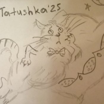 Из жизни кота😼🙀😸