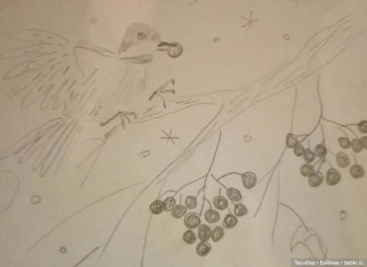 Зимняя рябина — Рисование и арт: скетчи (фото 3)