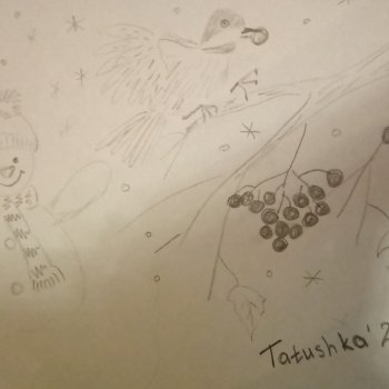 Зимняя рябина