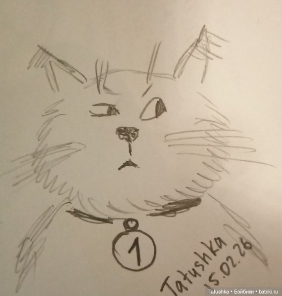 Немного котиков😼😻😽 — Рисование и арт: скетчи