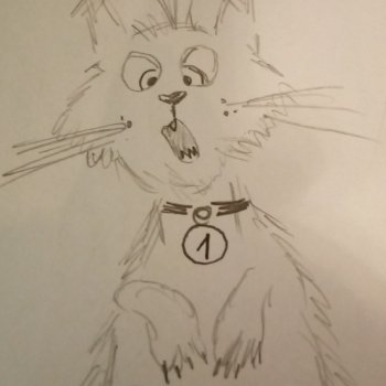 Немного котиков😼😻😽