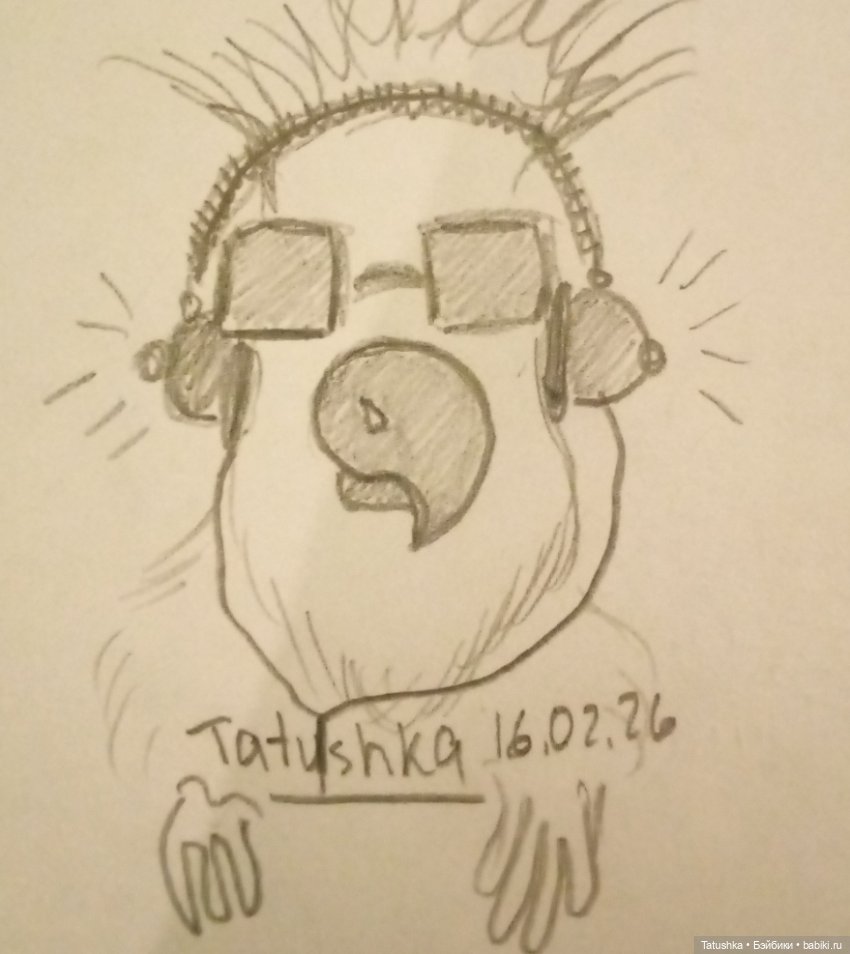 Зверята🫎🐰🐷🦊🐼 — Рисование и арт: скетчи