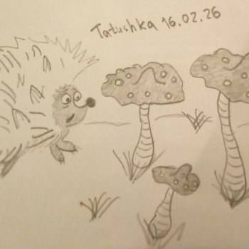 Зверята🫎🐰🐷🦊🐼