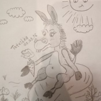 Ослики🫏🫏🫏