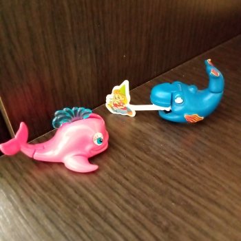 Летние рыбки 🐟🐠🐬🐋🐡