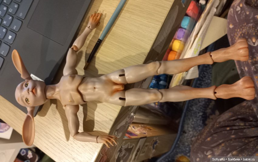 Раскрашенный Тори.