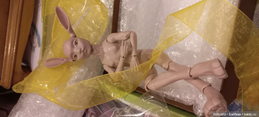 Тори дома, начало знакомства.