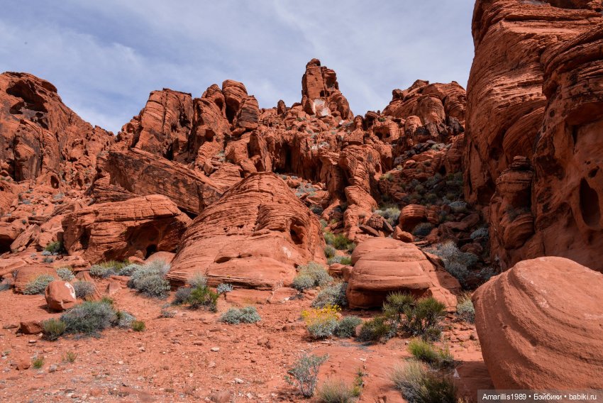 Альтернативная вселенная, инопланетные расы, или мое любимое занятие: продумывание сказочно-фантастических миров…