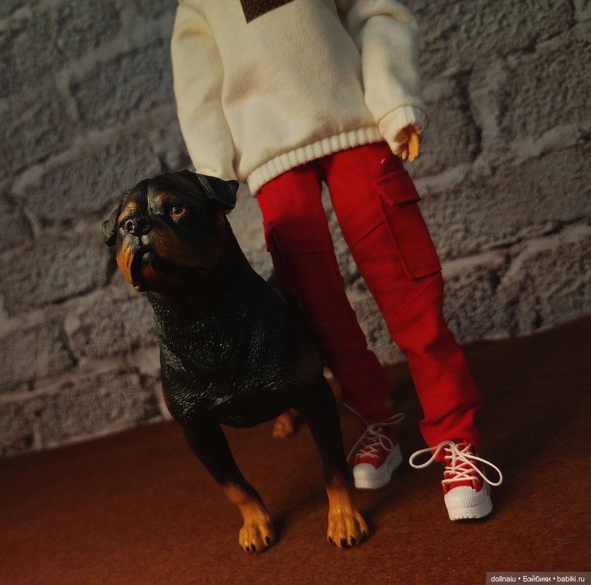 Куклопитомцы — Куклы Barbie (Барби): Looks