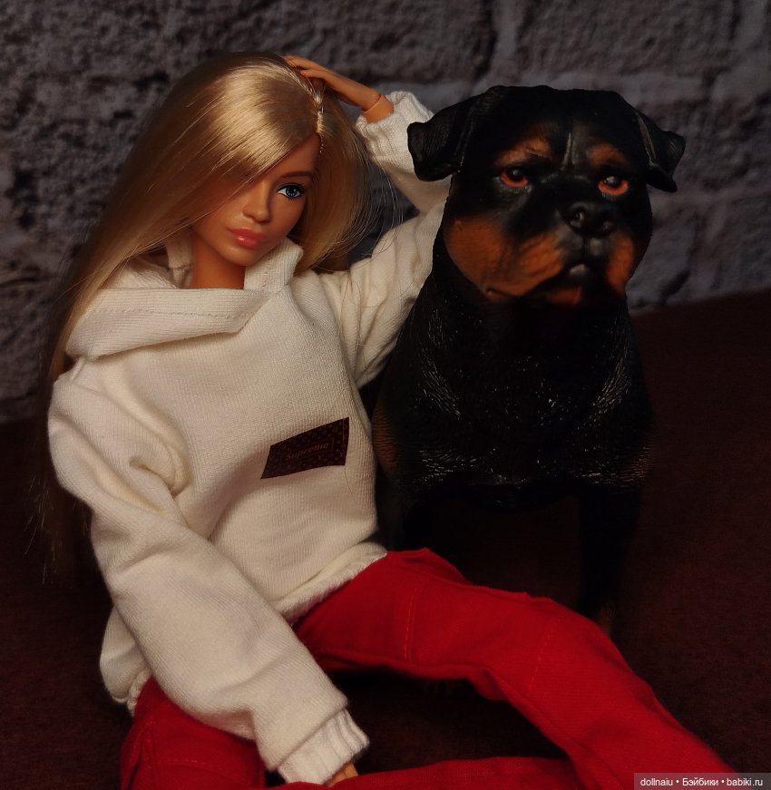 Куклопитомцы — Куклы Barbie (Барби): Looks (фото 4)