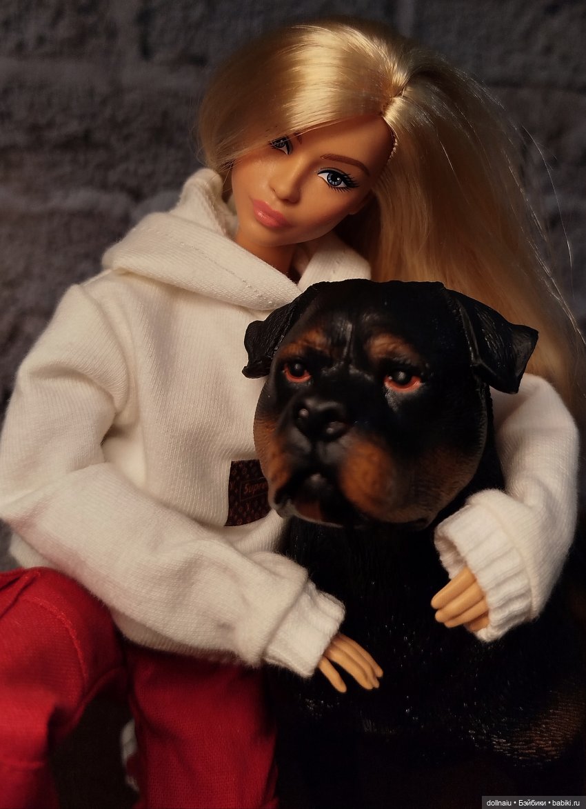 Куклопитомцы — Куклы Barbie (Барби): Looks (фото 5)