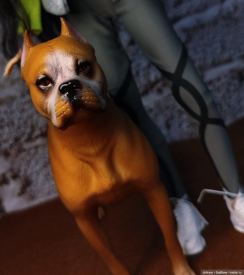 Куклопитомцы — Куклы Barbie (Барби): Looks