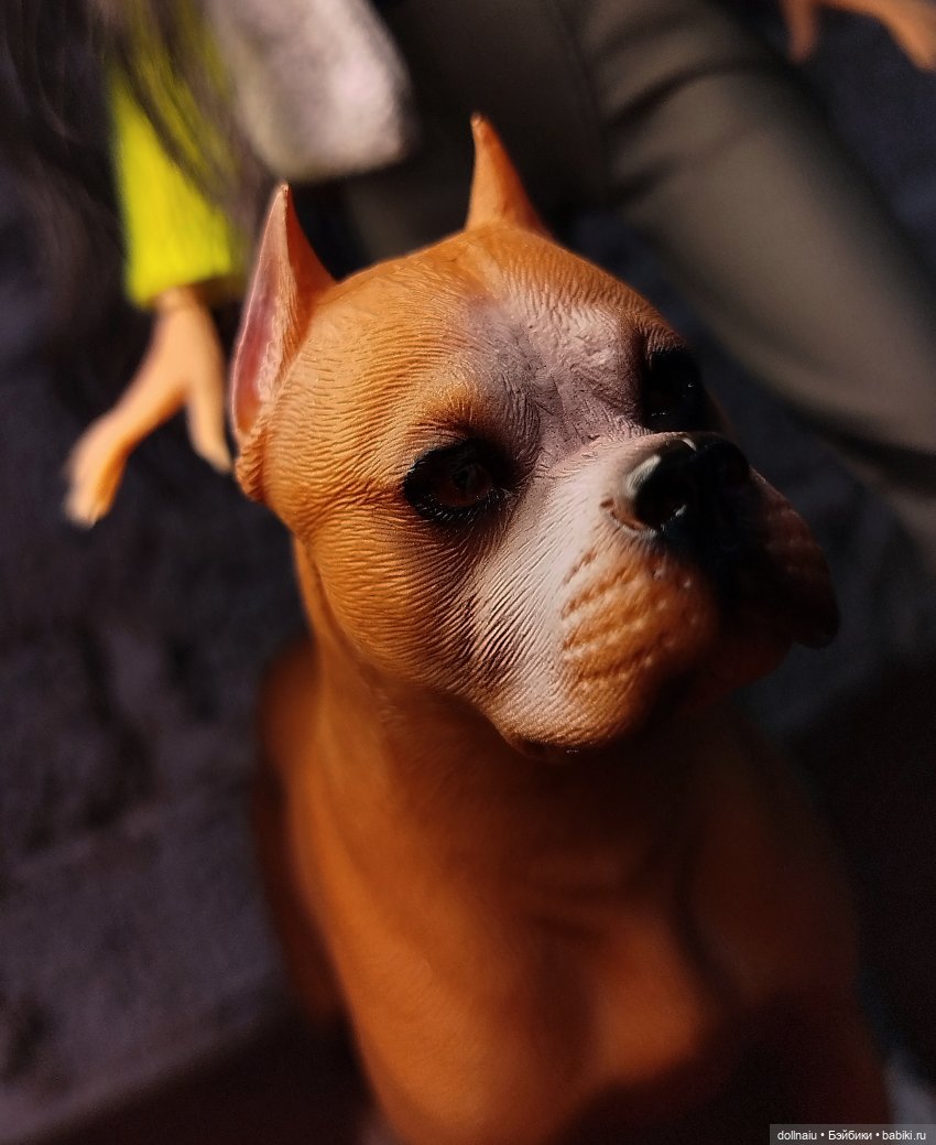 Куклопитомцы — Куклы Barbie (Барби): Looks (фото 7)