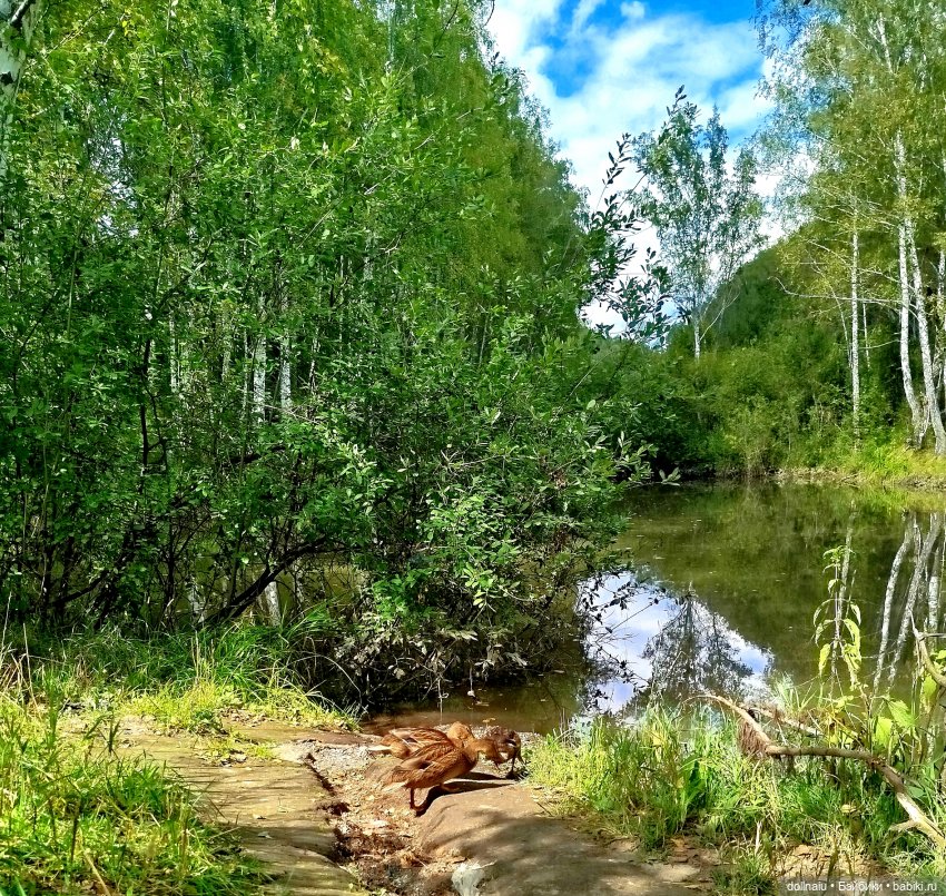Миссия: Поймать кукольное лето с Барби Эндрю Мукамал (фото 8)