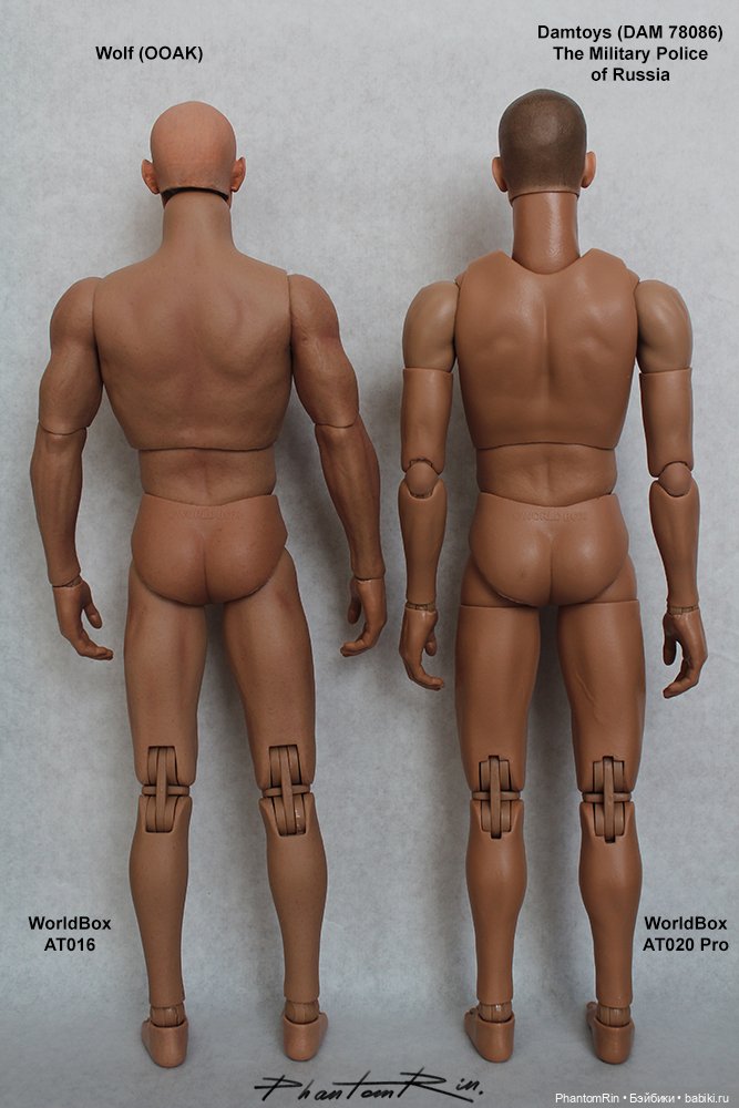 Action figures. Телоиды WorldBox AT016 и AT020 Pro.