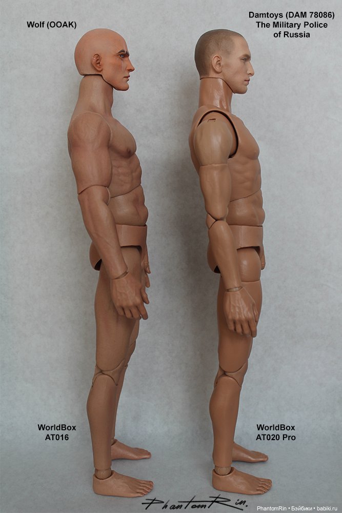 Action figures. Телоиды WorldBox AT016 и AT020 Pro.