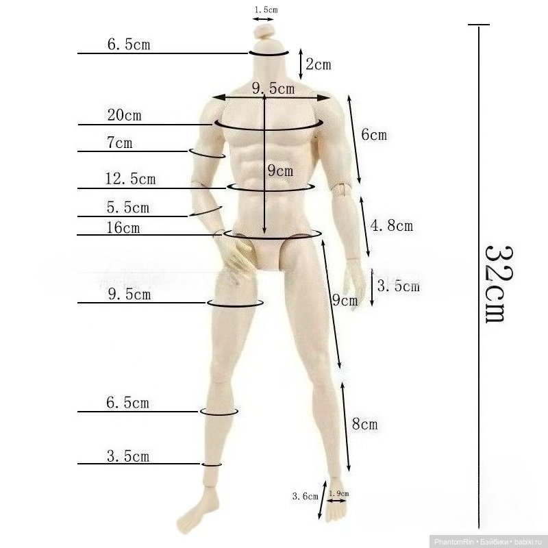 Тушка "Адониса" с Али :) (тех.обнажёнка!!!) (фото 4)
