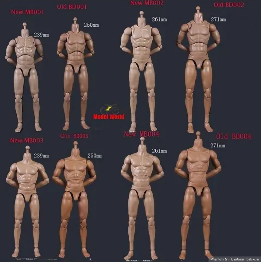 Сравнение мужских телоидов Coomodel, WorldBox, Phicen