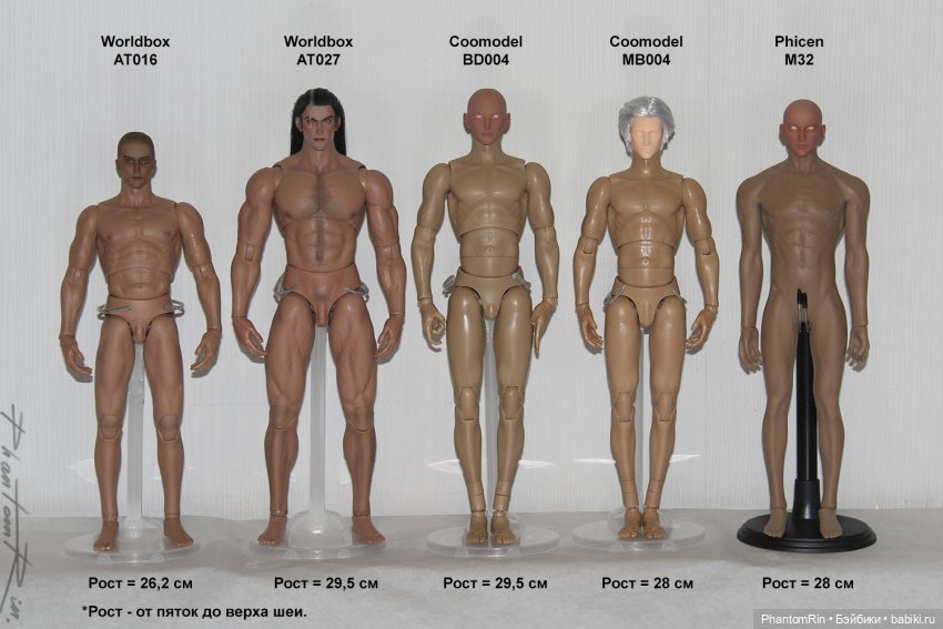 Сравнение мужских телоидов Coomodel, WorldBox, Phicen (фото 6)