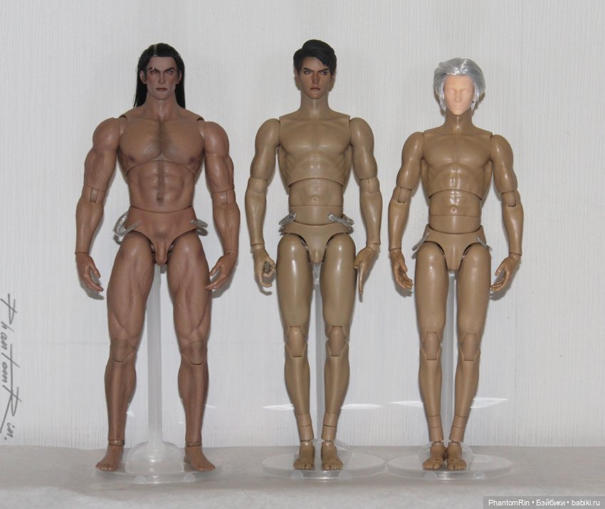 Сравнение мужских телоидов Coomodel, WorldBox, Phicen