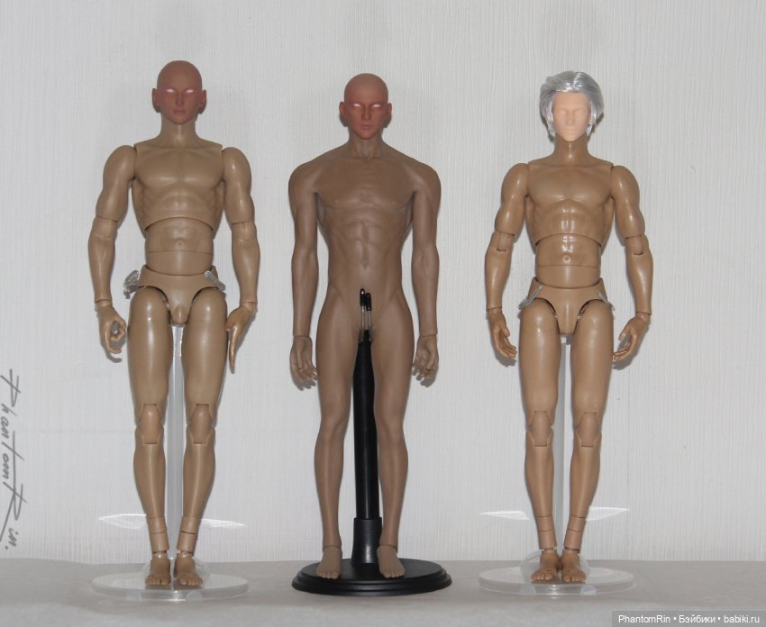 Сравнение мужских телоидов Coomodel, WorldBox, Phicen (фото 10)