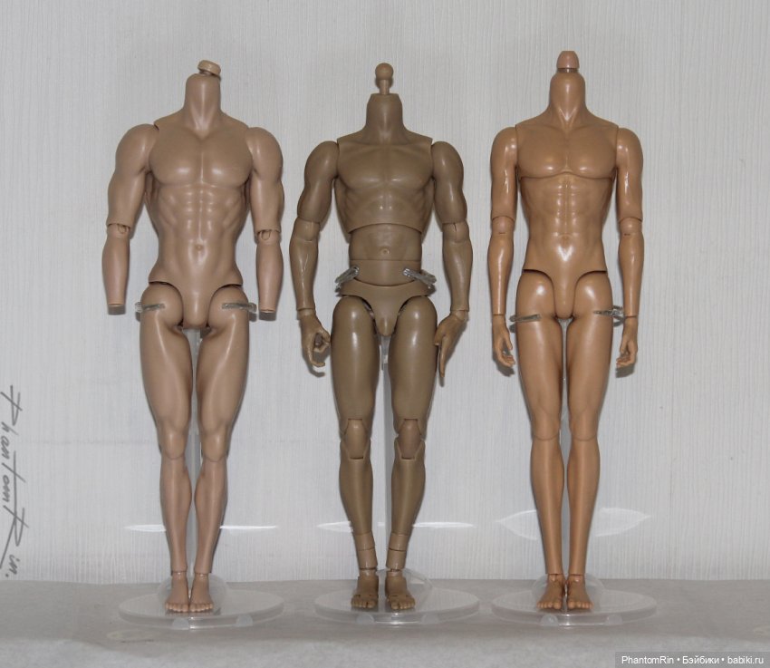Сравнение мужских телоидов Coomodel, WorldBox, Phicen