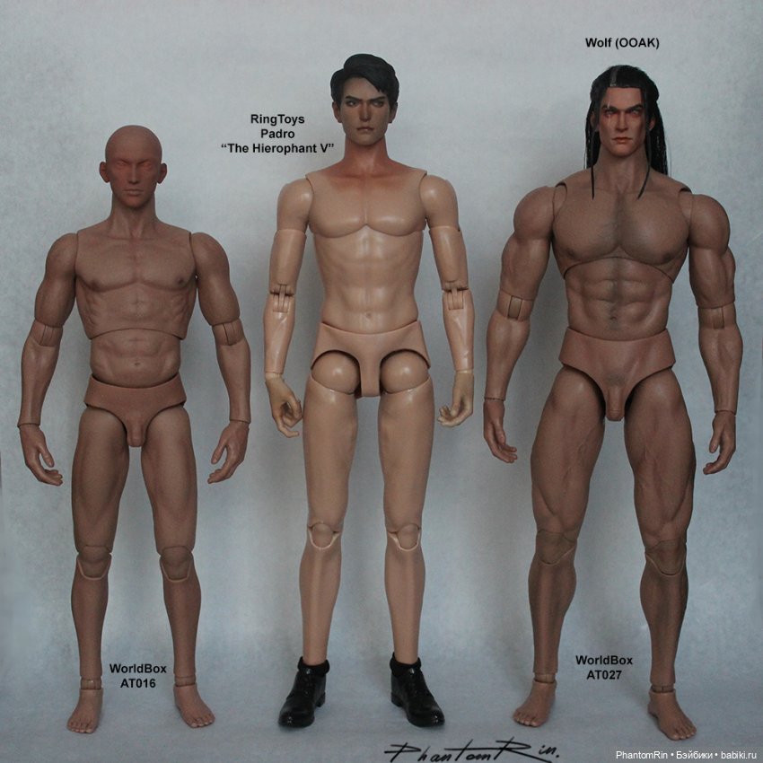 Сравнение мужских телоидов Coomodel, WorldBox, Phicen