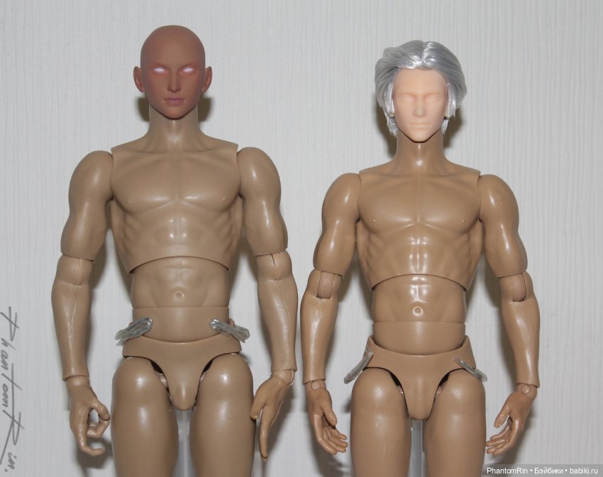 Сравнение мужских телоидов Coomodel, WorldBox, Phicen (фото 3)