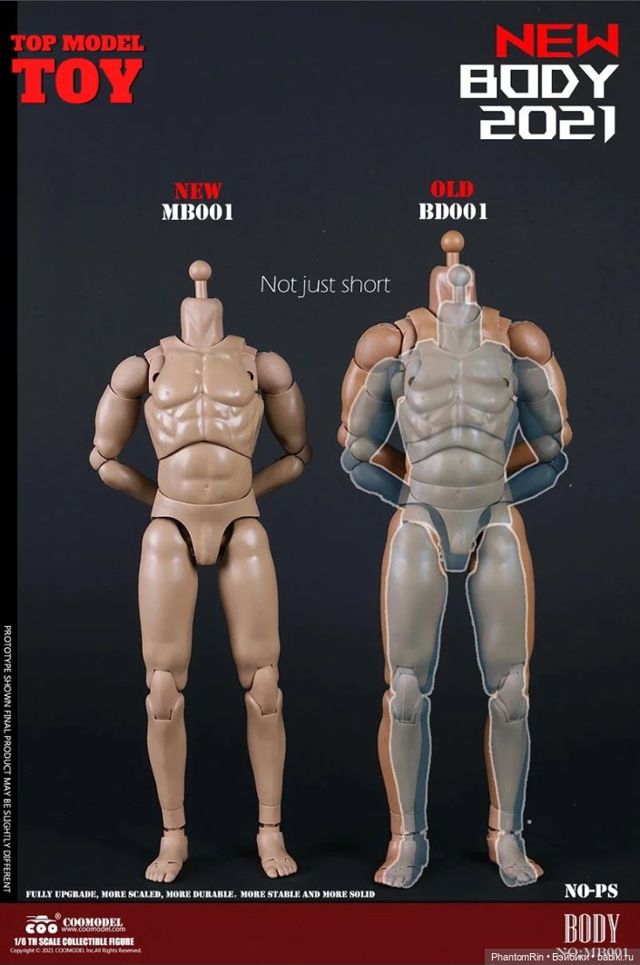 Сравнение мужских телоидов Coomodel, WorldBox, Phicen