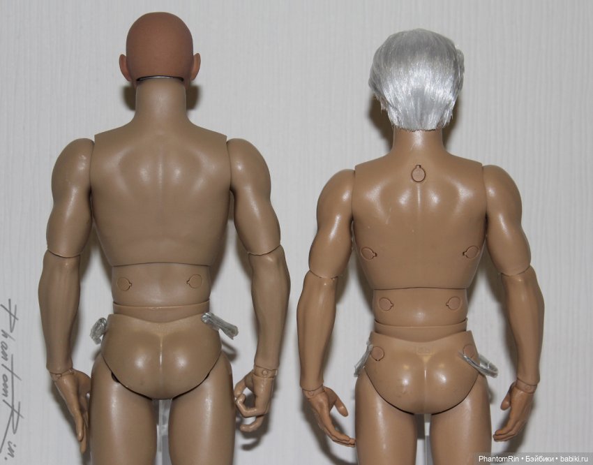 Сравнение мужских телоидов Coomodel, WorldBox, Phicen (фото 2)