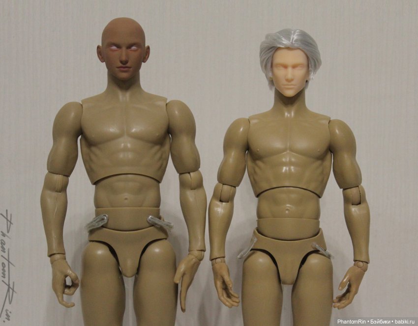 Сравнение мужских телоидов Coomodel, WorldBox, Phicen (фото 4)