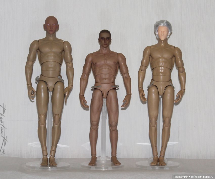 Сравнение мужских телоидов Coomodel, WorldBox, Phicen