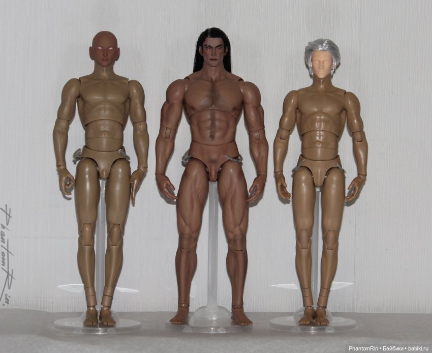 Сравнение мужских телоидов Coomodel, WorldBox, Phicen (фото 9)