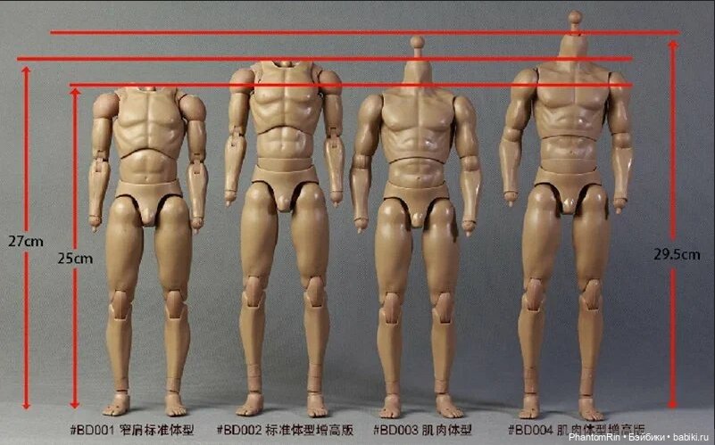 Сравнение мужских телоидов Coomodel, WorldBox, Phicen