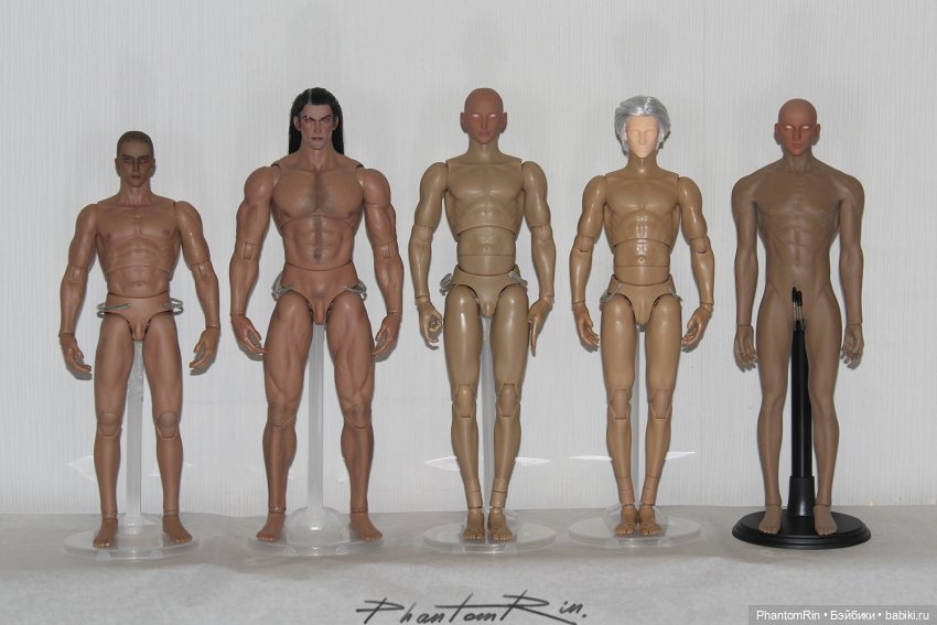 Сравнение мужских телоидов Coomodel, WorldBox, Phicen (фото 7)